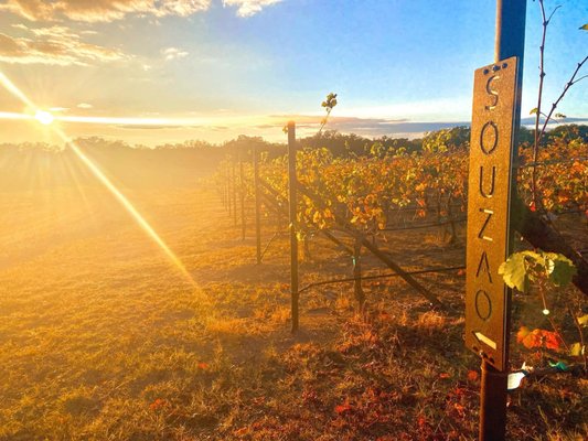 Ab Astris Winery by null