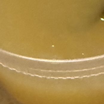 Golden Dragon Restaurant - Lemon sauce? - Chinese Near Me - Tucson, Arizona