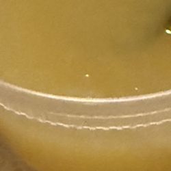 Lemon sauce?