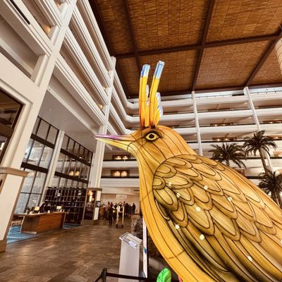 JW Marriott Desert Springs Resort & Spa by null