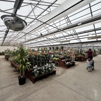 Echter's Nursery & Garden Center - Good size selection of different plants - Nurseries & Gardening Near Me - Arvada, Colorado