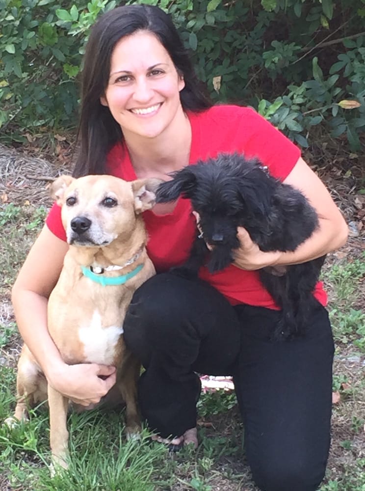 Pawfect Souls Pet Sitting LLC Image