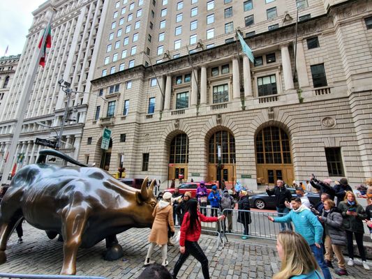 Charging Bull by null