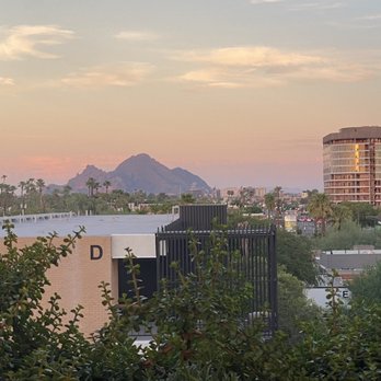 Don Woods' Say When - Cocktail Bars Near Me - Phoenix, Arizona