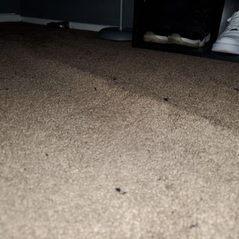 Cloud Carpet One Floor & Home - Carpeting Near Me - Las Vegas, Nevada Cloud Carpet One Floor & Home - Carpeting Near Me - Las Vegas, Nevada