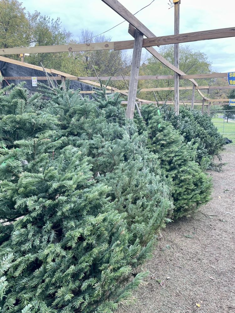 Optimist Club of Austin - social services organization in Austin, TX