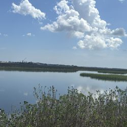 Timucuan Ecological & Historic Preserve - The area overlooks the tower .