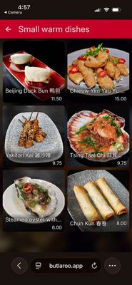 Menu photo 3 Sea Palace Amsterdam, NH Menu photo 3 Sea Palace Amsterdam, NH