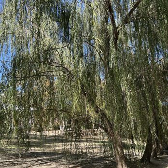 Airfield Falls Conservation Park - Parks Near Me - Fort Worth, Texas