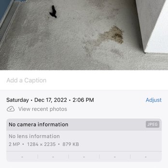 The Pines Apartments - Dec. 17. It's been a week and they haven't cleaned this - Apartments Near Me - Los Angeles, California The Pines Apartments - Dec. 17. It's been a week and they haven't cleaned this - Apartments Near Me - Los Angeles, California