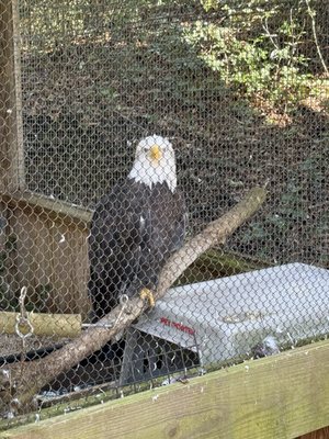 Charles Towne Landing State Historic Site by null