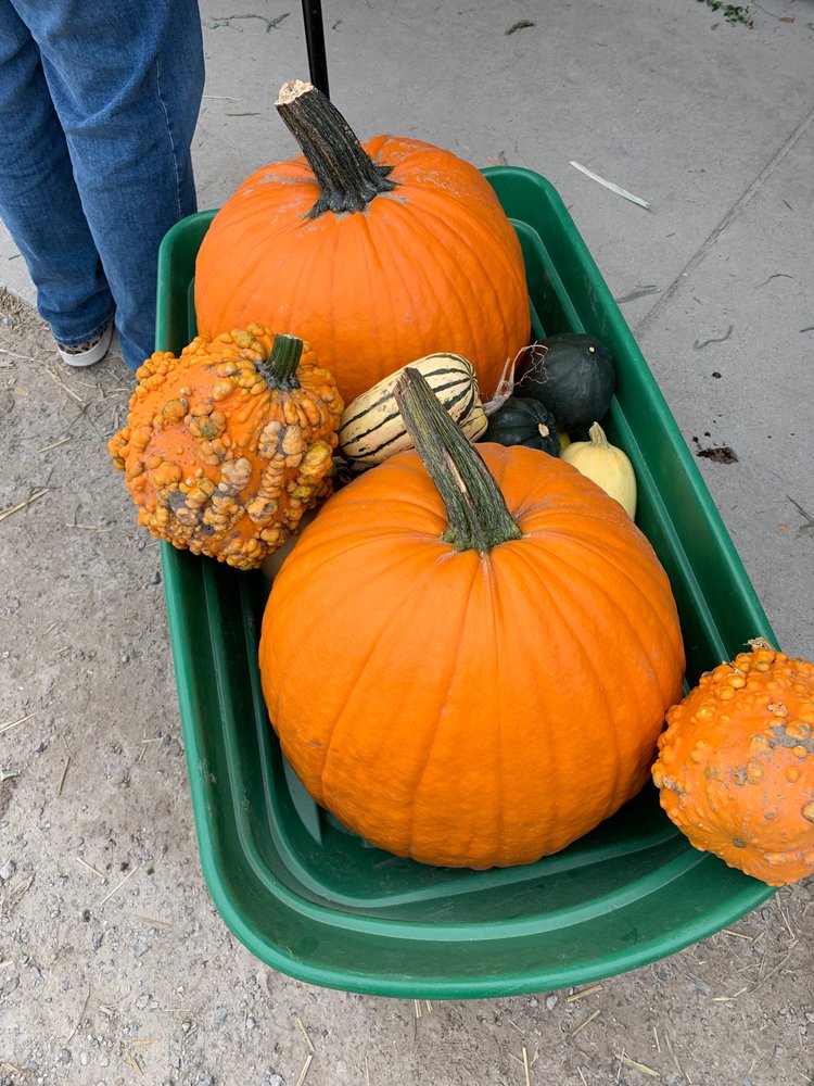 Sadowski's Produce Logo