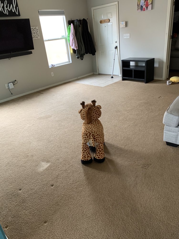 ALBUQUERQUE CARPET CARE 12 Photos Albuquerque, New Mexico Carpet