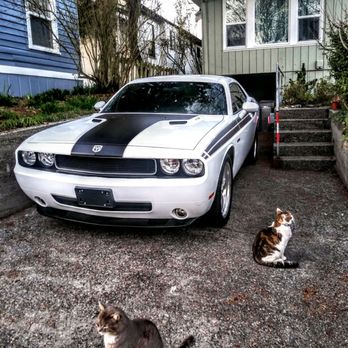 Emerald City Motorsports - Used Car Dealers Near Me - Seattle, Washington Emerald City Motorsports - Used Car Dealers Near Me - Seattle, Washington