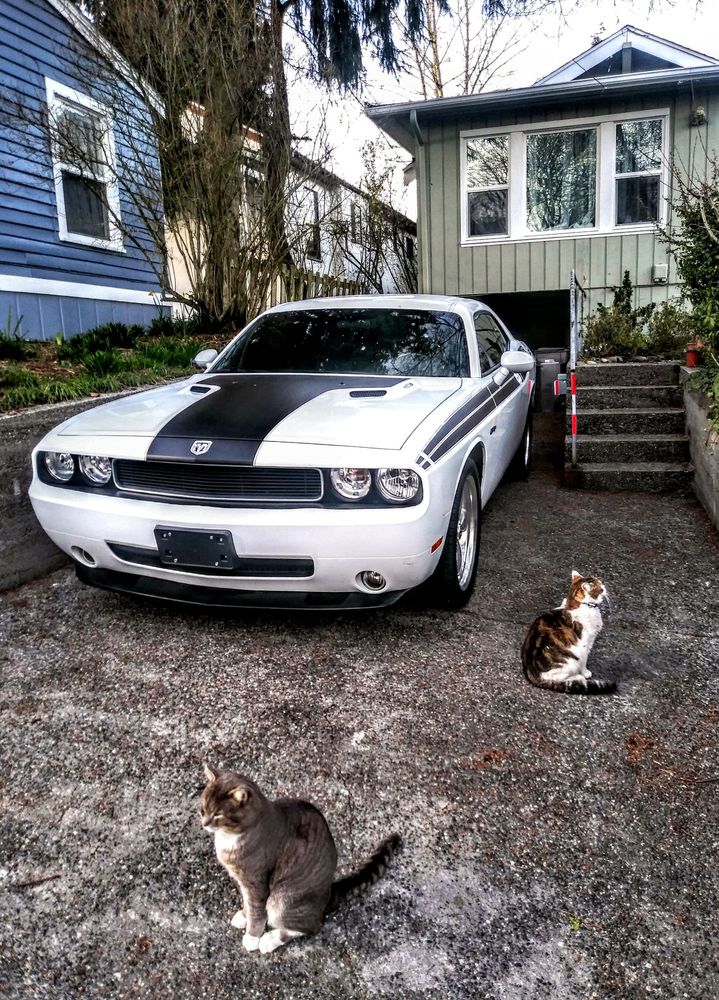 EMERALD CITY MOTORSPORTS 32 Photos & 21 Reviews Used Car Dealers