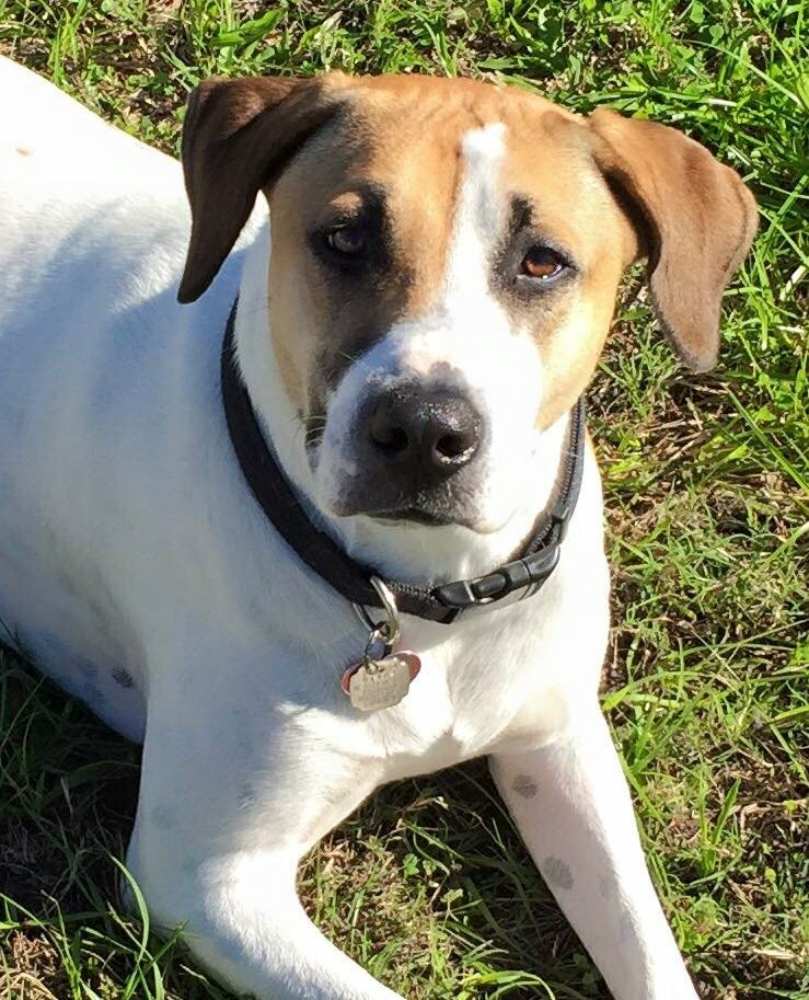 MINI MAXI WAREHOUSES 14 Photos 2150 NE 31st Ave, Gainesville