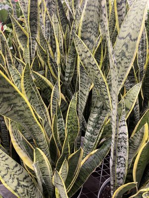 The Home Depot by null