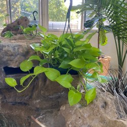 Lake Underhill Nursery