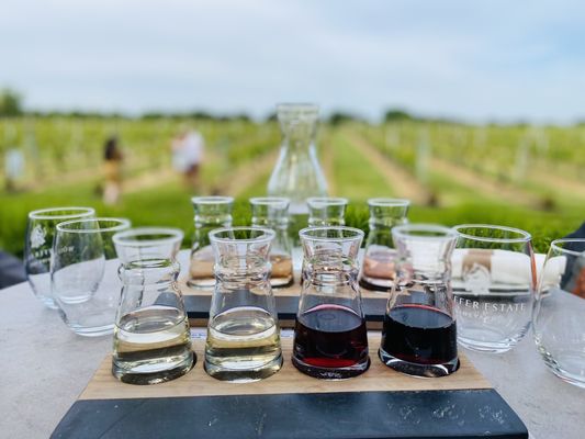 Wölffer Estate Vineyard by null
