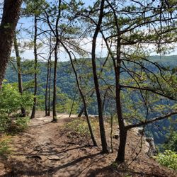 Long Point Trailhead