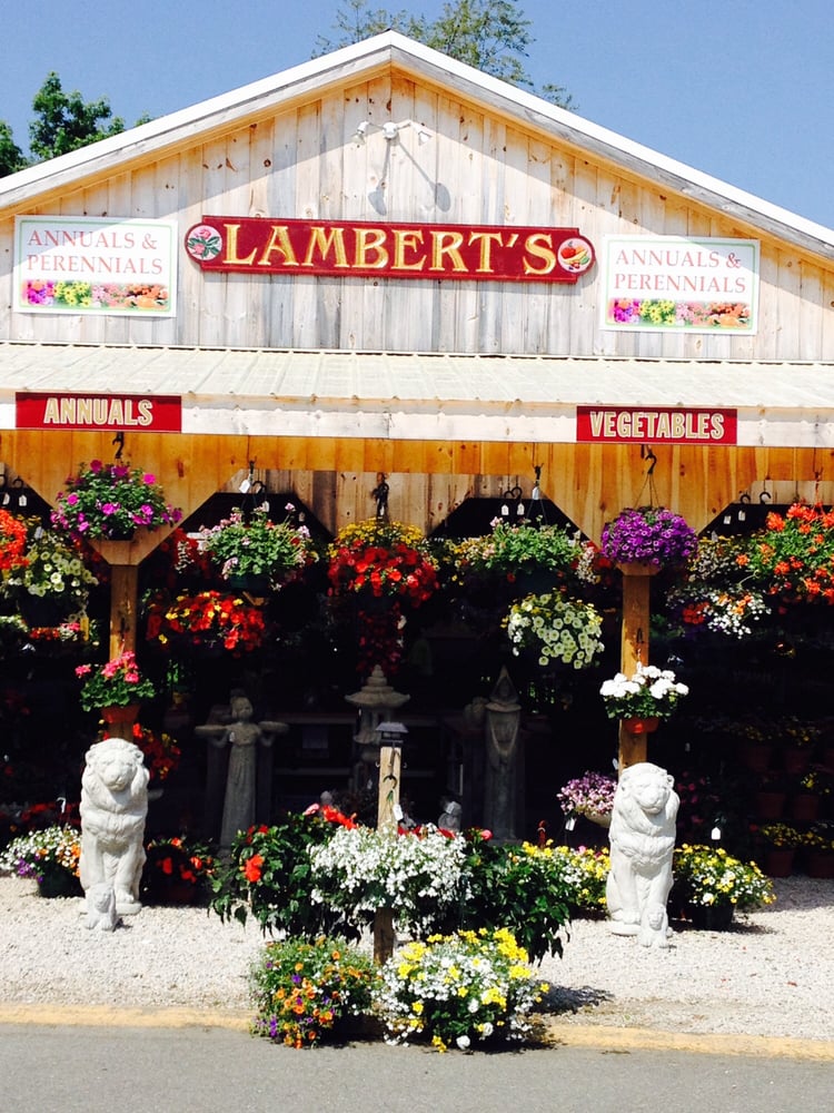 LAMBERTS GARDEN CENTER 1 Cape Rd, Mendon, Massachusetts Nurseries