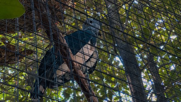 Fort Worth Zoo by null