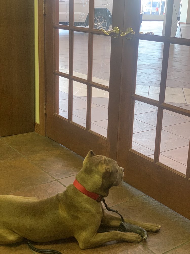 MORLAN DODGE Updated May 2024 1110 S Main St, Sikeston, Missouri