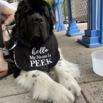 Lefteris Gyro - My service dog, they were very accommodating to me and even brought her water. They were very polite and I was comfortable. - Greek Near Me - Tarrytown, New York