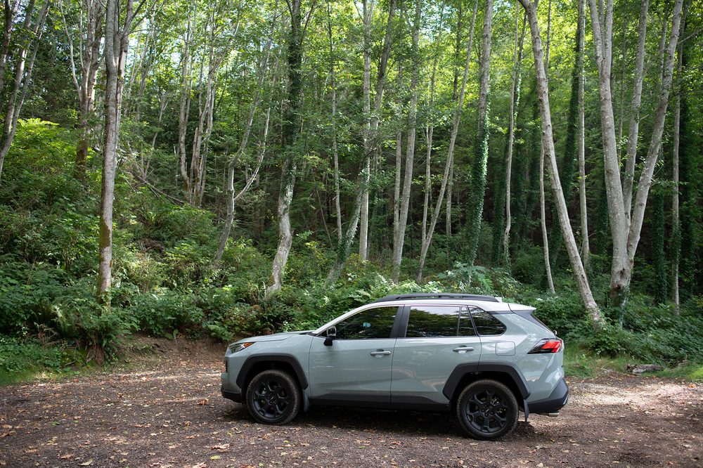 SIMCOE TOYOTA Updated August 2024 29 Photos 150 Queensway E