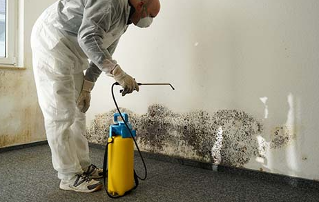 VariAir EnviroHealth & Safety - mold inspector in Acworth, GA