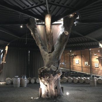 Baja Winery Tours - Wine Tours Near Me - San Diego, California