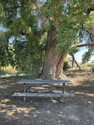 El Rancho de las Golondrinas by null