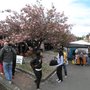 Photo of Leura Village Fair