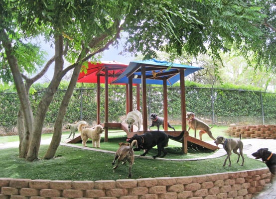 canyon ranch dog boarding