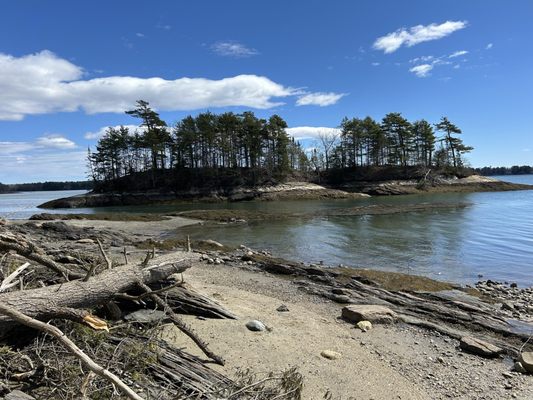 Wolfe's Neck Woods State Park by null
