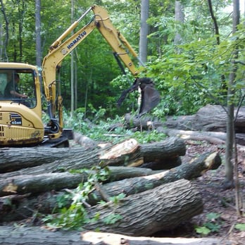 Ripley Tree Service - Tree Services Near Me - Burton, Ohio Ripley Tree Service - Tree Services Near Me - Burton, Ohio