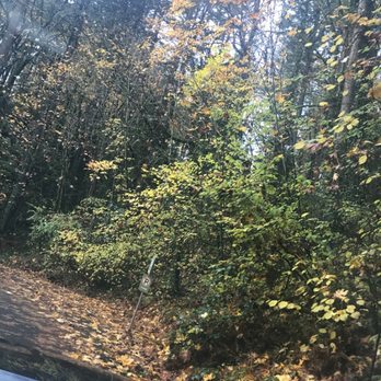 Washington Park - Parks Near Me - Portland, Oregon Washington Park - Parks Near Me - Portland, Oregon