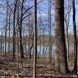 Dillon State Park