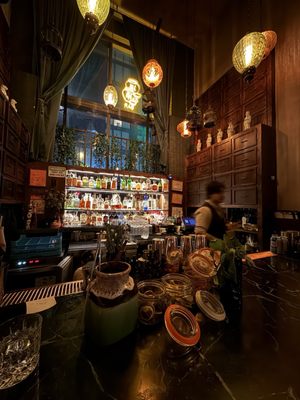 Ye's Apothecary 夜莺 by null