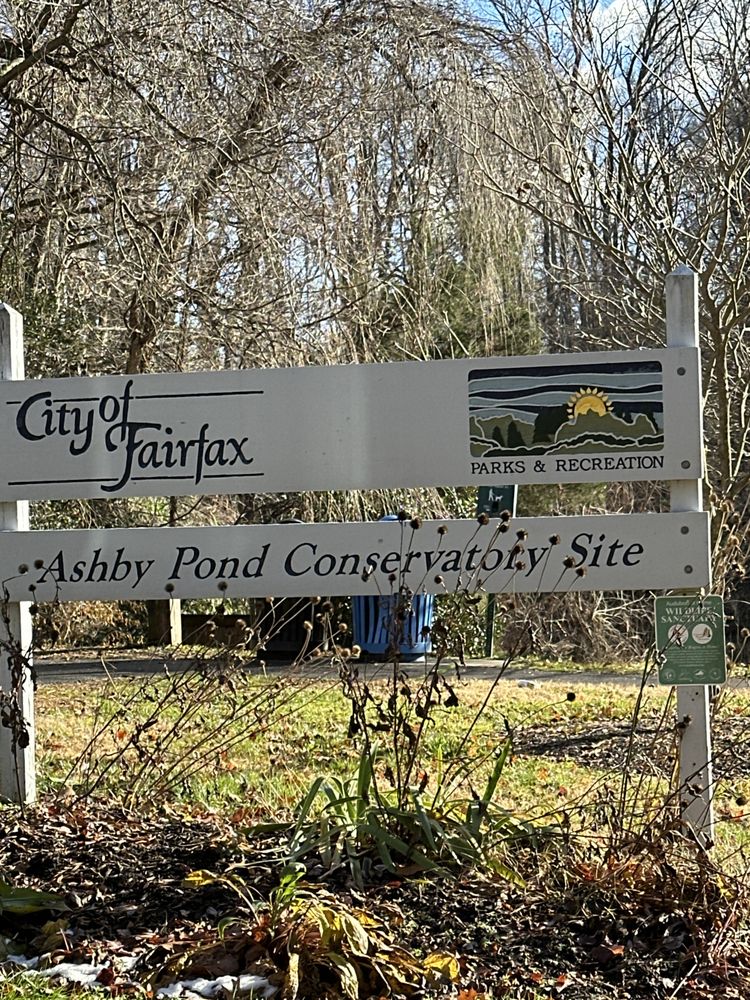 ASHBY POND PARK Updated August 2024 62 Photos 9817 Ashby Rd
