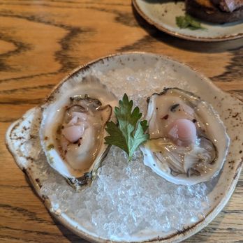 Giulia - Unicorn oysters yum 4/5 - Italian Near Me - Cambridge, Massachusetts