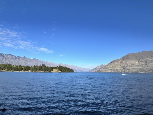 Queenstown Gardens by null
