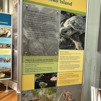 Coastal Discovery Museum - Museums Near Me - Hilton Head Island, South Carolina
