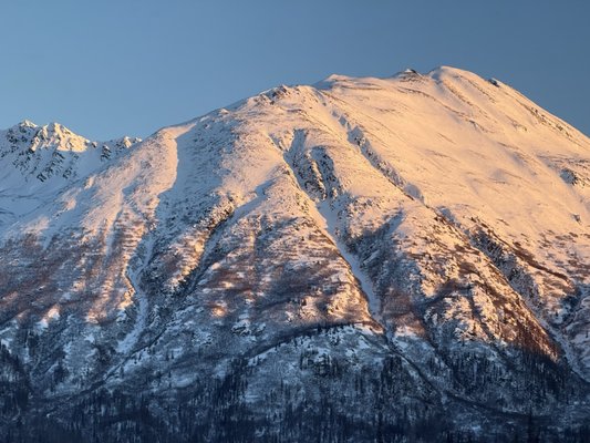 Alaska Railroad by null