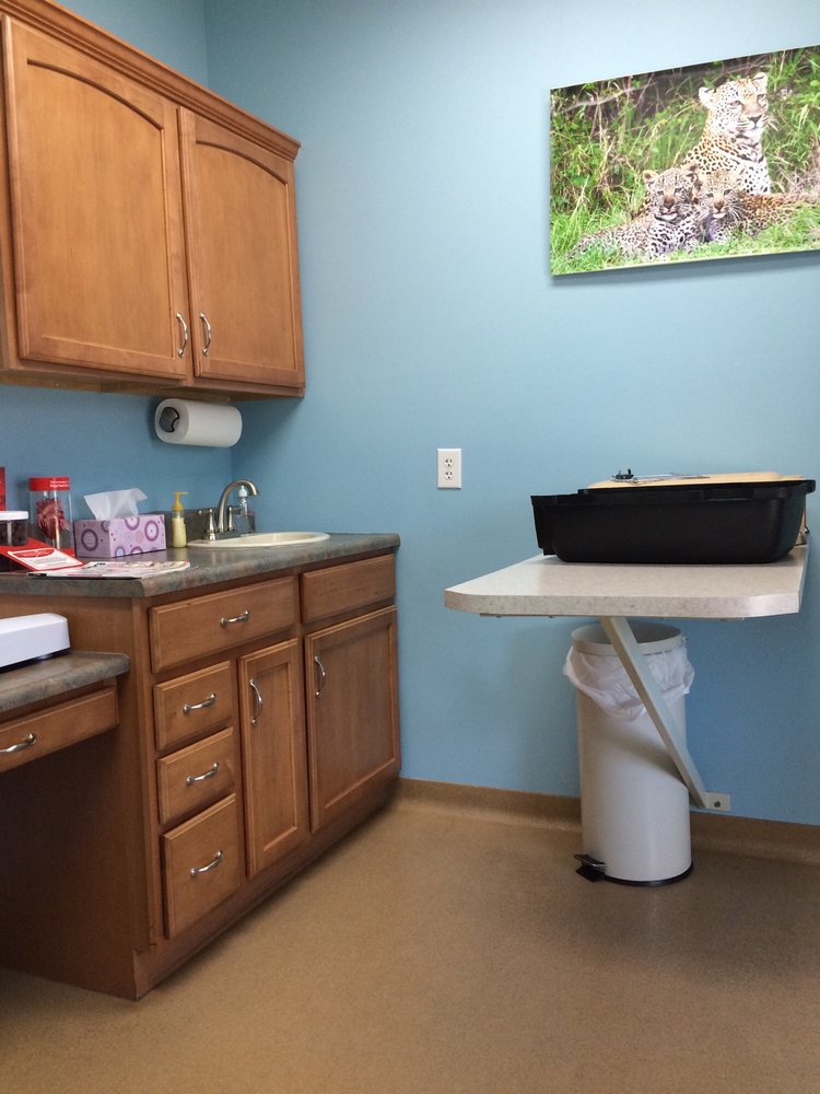 MCCORDSVILLE VETERINARY HOSPITAL Updated September 2024 15 Reviews 6104 W Broadway