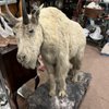 Woodbury Antiques Centre gift card