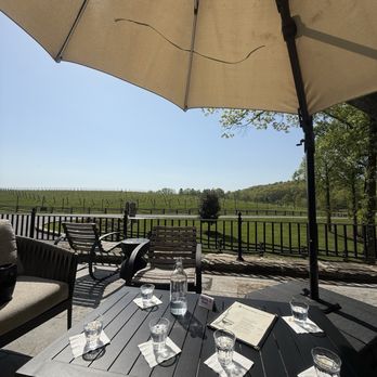 Dynamis Estate Wines - Wine Tasting Room Near Me - Jonesville, North Carolina Dynamis Estate Wines - Wine Tasting Room Near Me - Jonesville, North Carolina