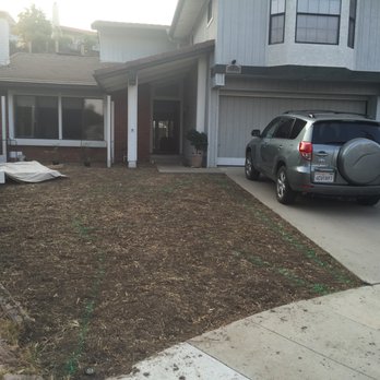 Tri-County Turf - After Victor's team demoed our old sod front yard - Landscaping Near Me