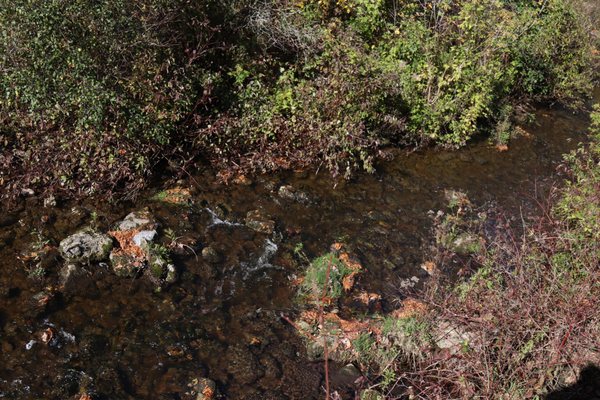 Rockwood Conservation Area by null