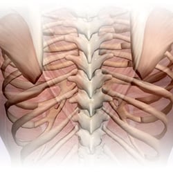 Michaux Family Chiropractic